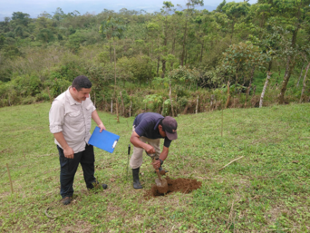 Adolfo und ein Kollege pflanzen einen Baum in La Tigra
