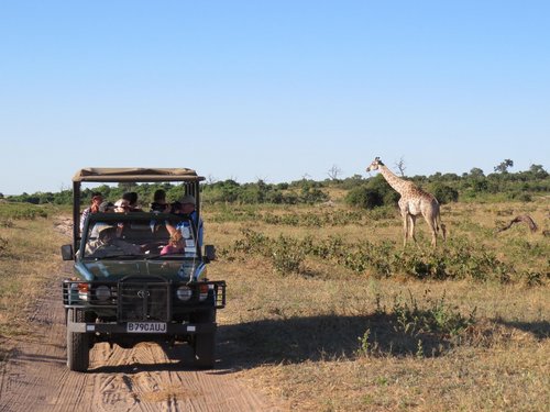 Safari Auto mit Gruppe neben dran Giraffe