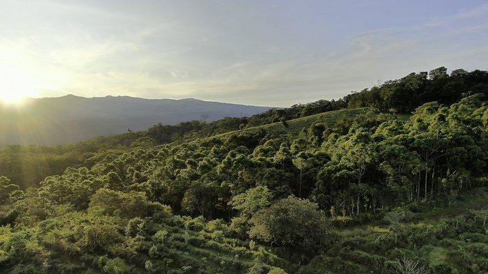 Blick auf den La Tigra Regenwald bei Sonnenuntergang
