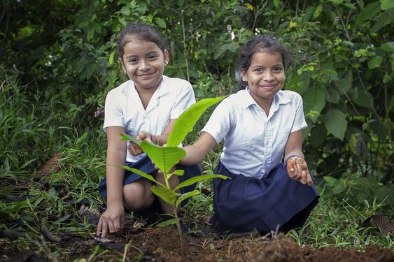 Zwei kleine Schulmädchen pflanzen einen Baum in La Tigra