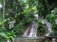 Wasserfall umrandet von grüner Natur
