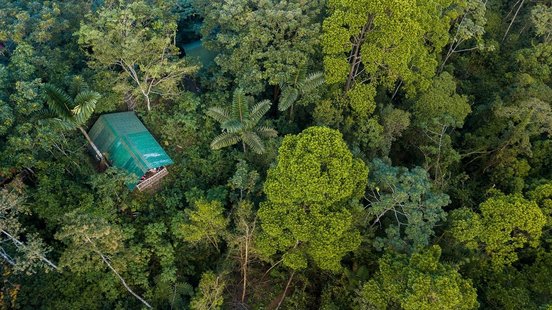 Drohnenaufnahme eines Hüttchens der La Tigra Rainforestlodge umgeben von Regenwald