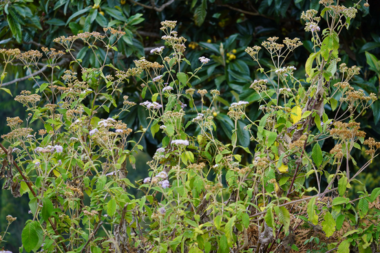 travel-to-nature Suchbild