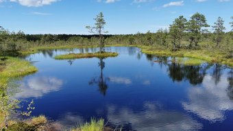 Dunkelblauer Moorsee in Estland