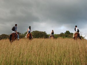 Eine Gruppe zu Pferd unternimmt einen Ausritt in den Bergen Panamas.