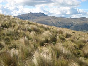 Steppenlandschaft in Ecuador