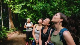 Reisegruppe sucht Tiere im Baum