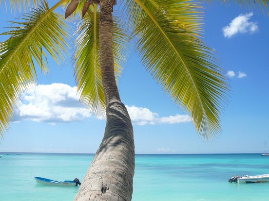 Palme vor türkisblauem Meer und zwei Boote im Wasser