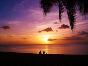 Menschen im Sonnenuntergang am Strand mit Palme