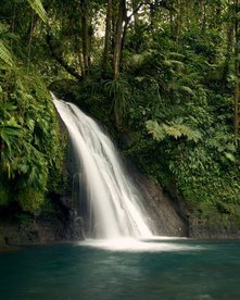 Wasserfall mit kleinem See umgeben von Regenwald