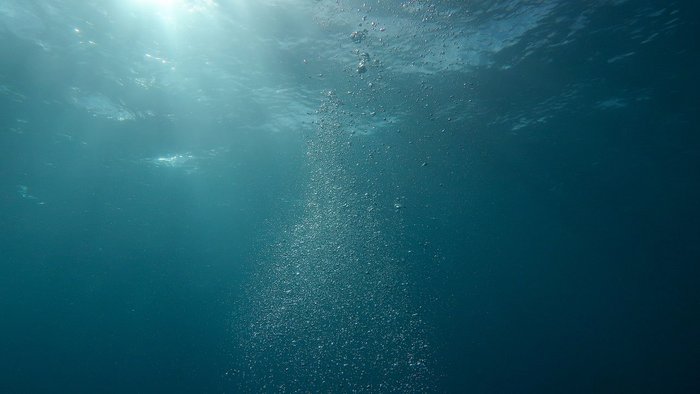 Blubberblasen steigen im Meer auf