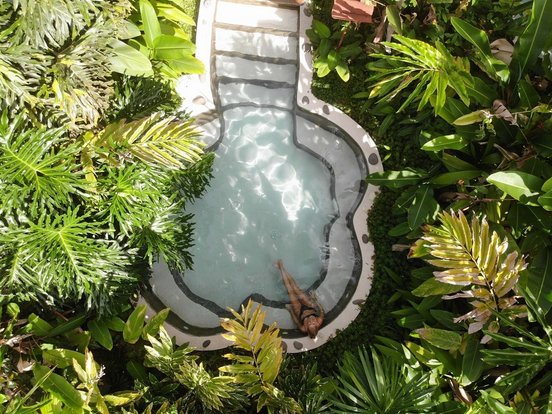 Pool von oben umgeben vom Dschungel