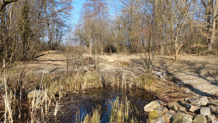 Projekt Kali-Gelände Teich