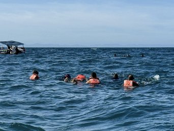 Menschen schnorcheln im Meer