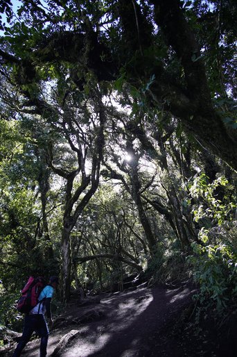 Wanderung am Vulkan Acatenango