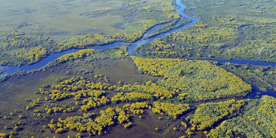 Feutchgebiete im Pantanal von oben