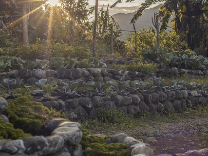 Permakulturgarten der La Tigra Rainforest Lodge im Sonnenuntergang