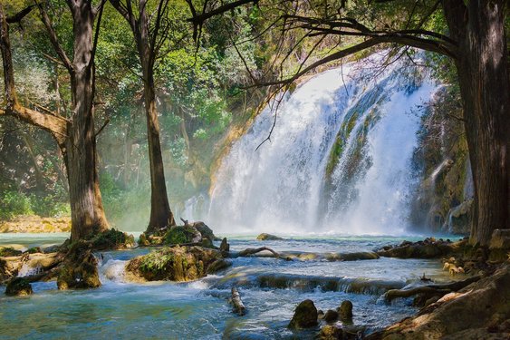 Wasserfall im Dschungel bei Chiapas, mexiko