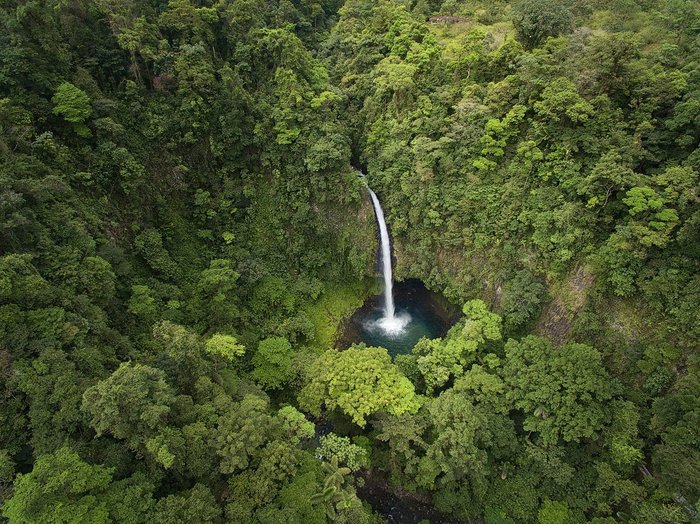 Wasserfall von oben mitten im Regenwald