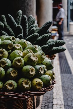 Kaktusfrucht in Schale