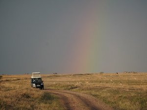 In der Savanne von Tansania erscheint während der Safari ein Regenbogen am Himmel.