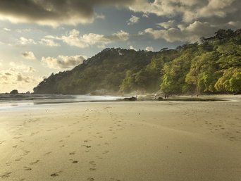 Sonnenuntergang am Strand, goldenes Licht und Dschungel