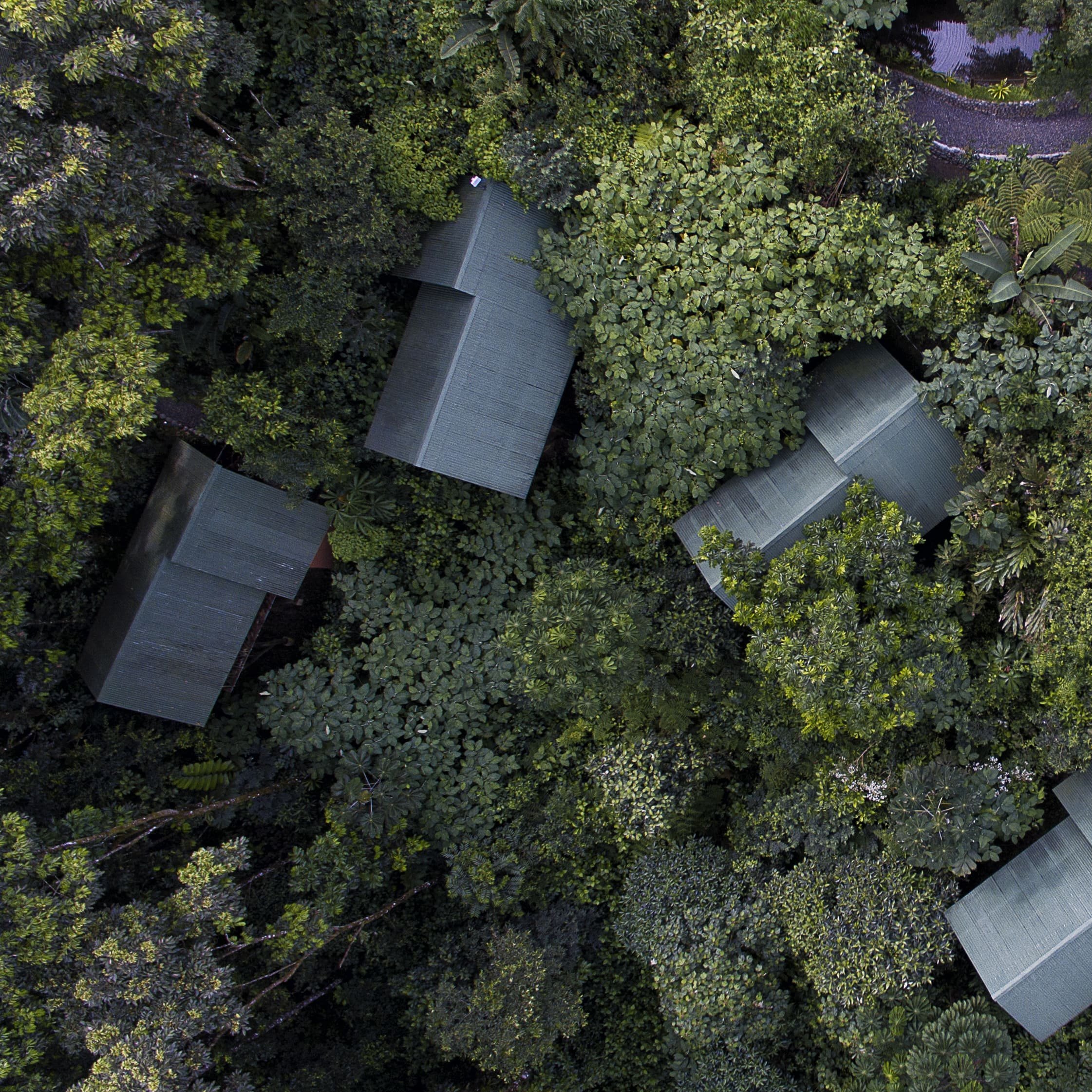 Costa Rica La Tigra Regenwald Lodge Zimmer von oben