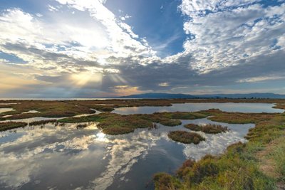Ebro Delta Spanien - ruhige Gewässer in der Abendsonne