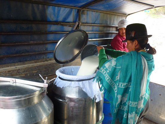 Bäuerin füllt frische Milch um
