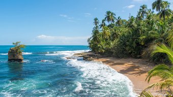 Karibikstrand Manzanillo Costa Rica