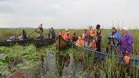 Reisegruppe beobachtet einen Schuhschnabel in Uganda