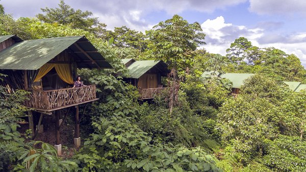 Costa Rica La Tigra Regenwald Lodge Zimmer im Regenwald