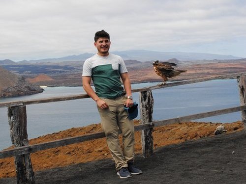 Eine besondere Begegnung mit einem Galapagos-Falke nauf der Insel Bartolome 