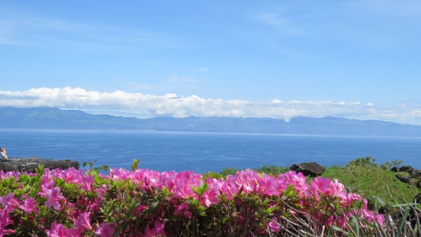 Blick aufs Meer der Azoren im Vordergrund Azaleen