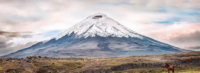 Blick auf den Vulkan Cotopaxi und ein Pferd im Vordergrund