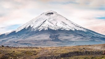 Blick auf den Vulkan Cotopaxi und ein Pferd im Vordergrund