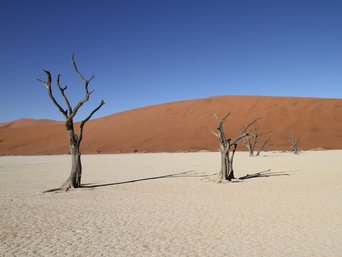 Beste Reisezeit Namibia
