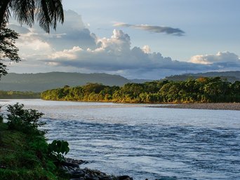 Fluss in Ecuador mit Regenwald