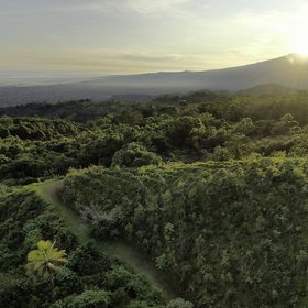 Regenwald von La Tigra im Sonnenuntergang