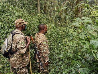 Ranger im Bwindi Nationalpark auf dem Weg zu den Gorillas.