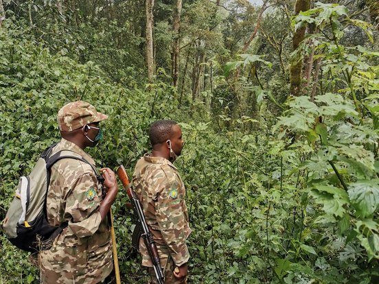 Ranger im Bwindi Nationalpark auf dem Weg zu den Gorillas.