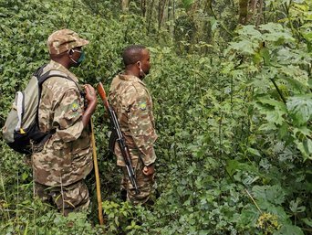 Ranger im Bwindi Nationalpark auf dem Weg zu den Gorillas.