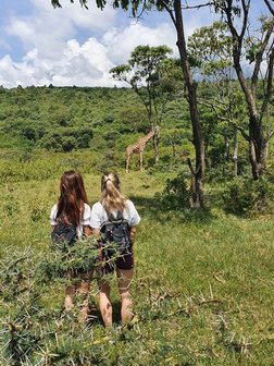 Zwei Menschen schauen auf eine Giraffe