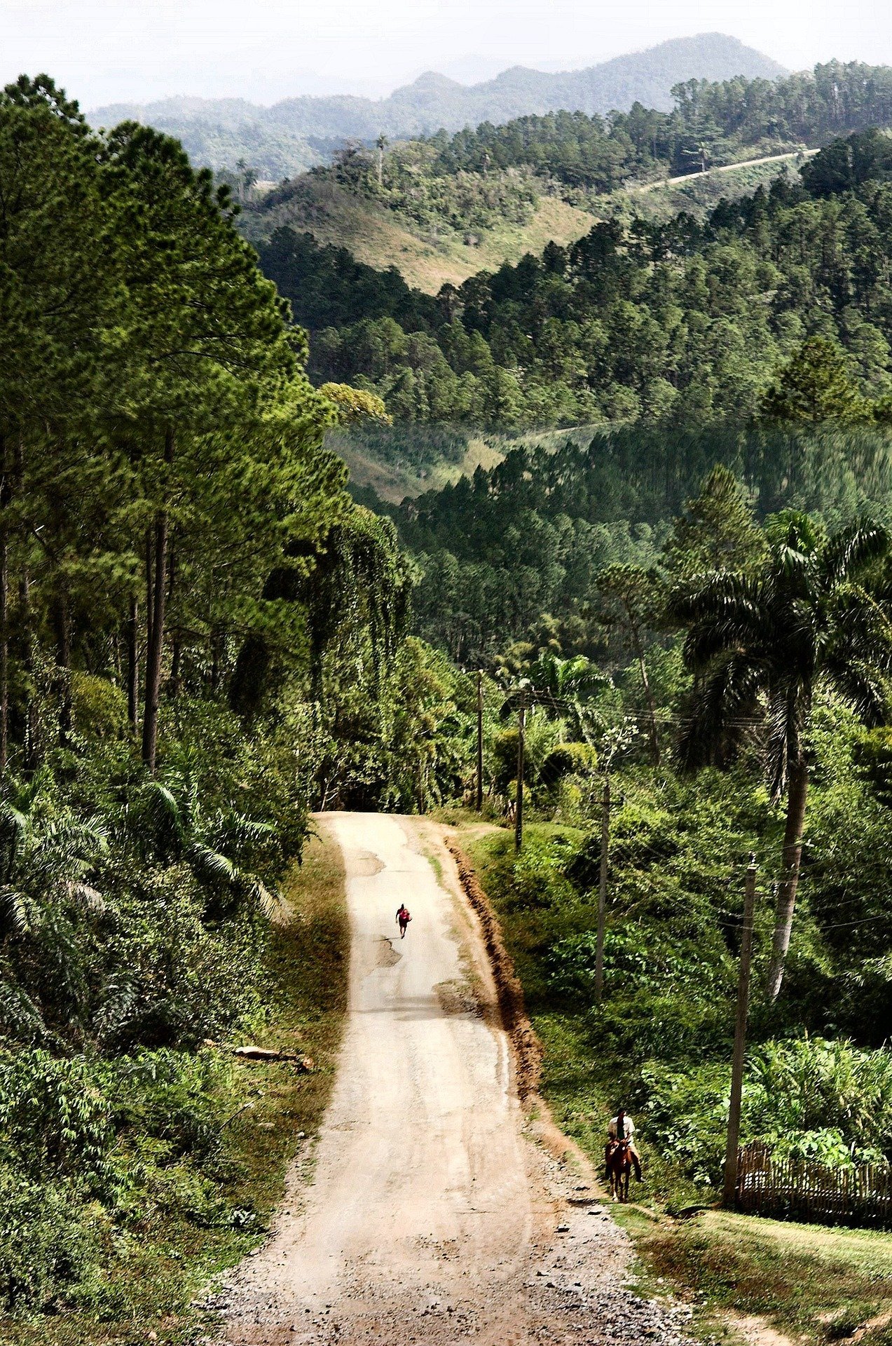 Eine ländliche Straße zieht sich durch die hügelige und grüne Landschaft Kubas.