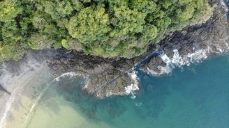 Bild mit der Drohne von der Küste Costa Ricas, Regenwald und Meer