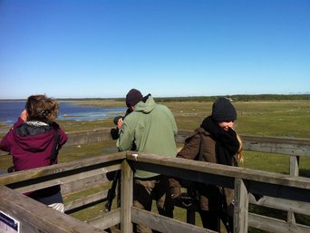 Menschen beobachten Tiere vom Aussichtsturm