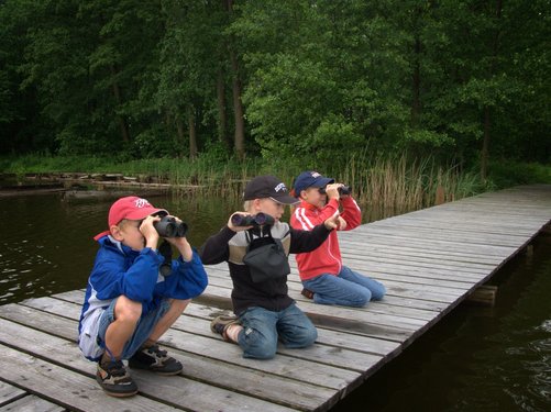 Drei Kinder mit Fernglas auf einem Steg im Baltikum