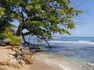 Strandabschnitt bei Boas del Toro in Panama