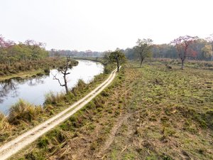 Grasebene mit Fluss im Chitwan Nationalpark
