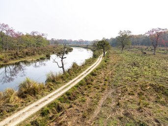 Chitwan Nationalpark von Turm aus fotografiert